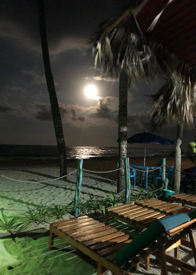 Guachaca Palmario Hostal מראה חיצוני תמונה