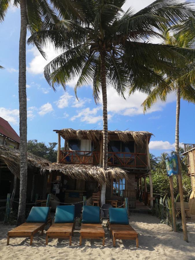 Guachaca Palmario Hostal מראה חיצוני תמונה